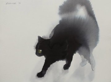 猫をテーマにした様々なデザインやアート Designature