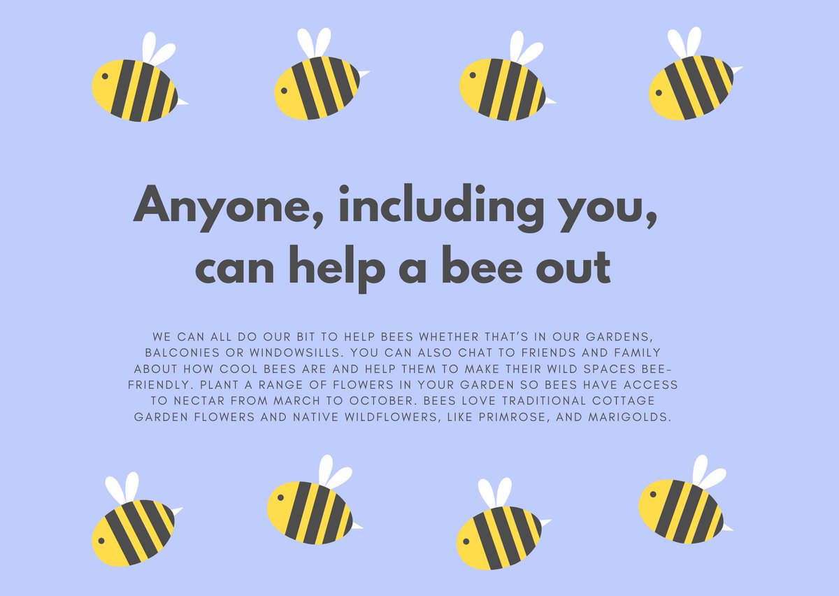 civicuk's tweet image. Interested in bees? 
Visit planbeeproject.eu to find out more about the #projectPlanBEE, an #ErasmusPlus on beekeeping that CIVIC is leading.