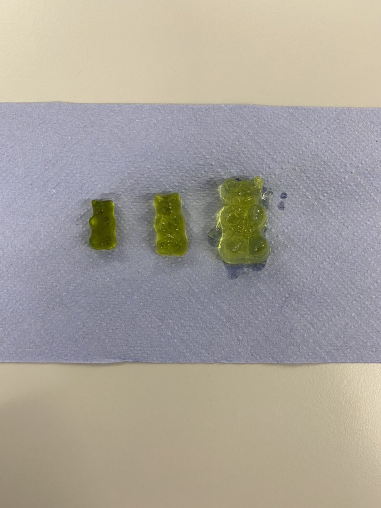 Miss MacRae 🔬🧬 tweet media