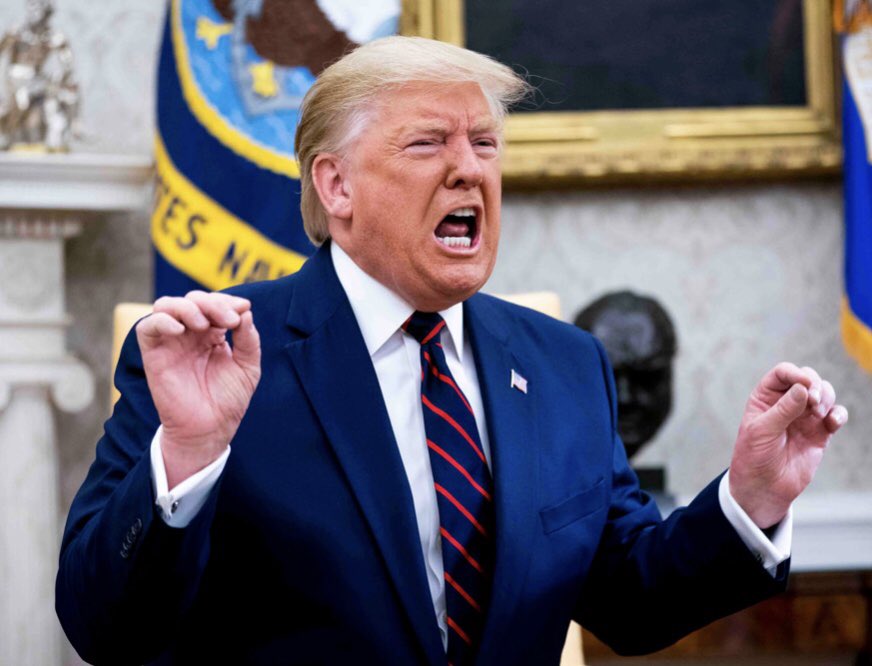 PaulRigbywrites's tweet photo. At least there’s something new to watch this lockdown - 
Tiger King 2

#Election2020 https://t.co/6uqLPYWpsx