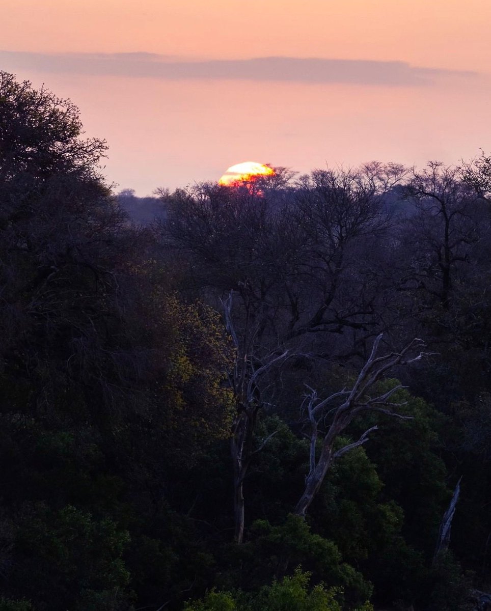 Sunset over Motswari Private Game Reserve kingdom🌅

To book this all-encompassing safari experience, contact:
reservations@newmarkhotels.com
+27 21 427 5900
———