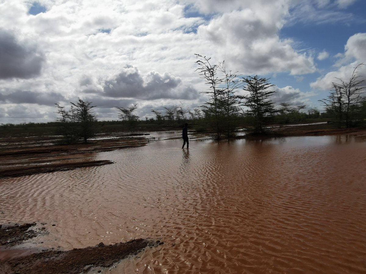 Yooow. It rained overnight and the road is full of lakes. My colleague has to walk through the craters to test the depth before we storm in. Most are shallow and no stones or mud inside. Kumîra kumîra.
