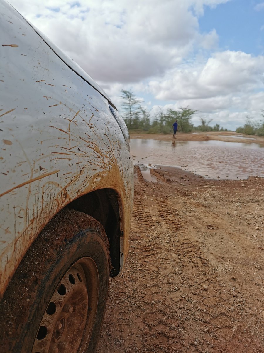 Yooow. It rained overnight and the road is full of lakes. My colleague has to walk through the craters to test the depth before we storm in. Most are shallow and no stones or mud inside. Kumîra kumîra.