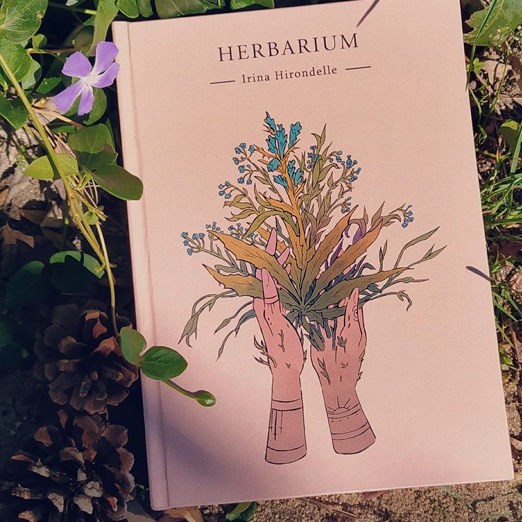 Irina Hirondelle 🌿 tweet media