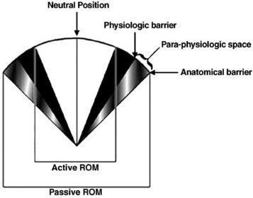 Burrel.osteopata.fisio tweet media