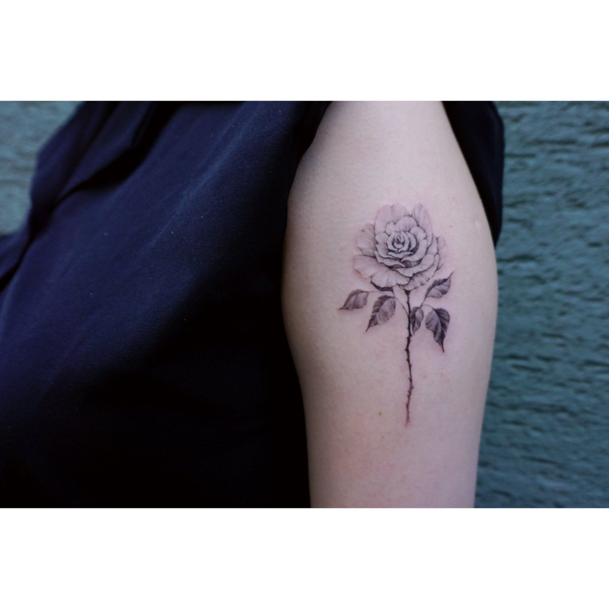 godeun_tattooer's tweet photo. ์ฒซ ํํฌ๋ก ์ฅ๋ฏธ ํ ์ก์ด ๋ฐ์๊ฐ์
จ์ด์!!
์ ์๊ฒ ๋ฐ์์ฃผ์
์ ๊ฐ์ฌํฉ๋๋ค๐คโฅ๏ธ
๋ฌธ์๐https://t.co/oODbZob0zs
#ํ๋๊ฝํํฌ #๊ฝํํฌ #์ฅ๋ฏธ #์ฅ๋ฏธํํฌ #ํํํฌ #rose #rosetatto https://t.co/JFPmonGsse