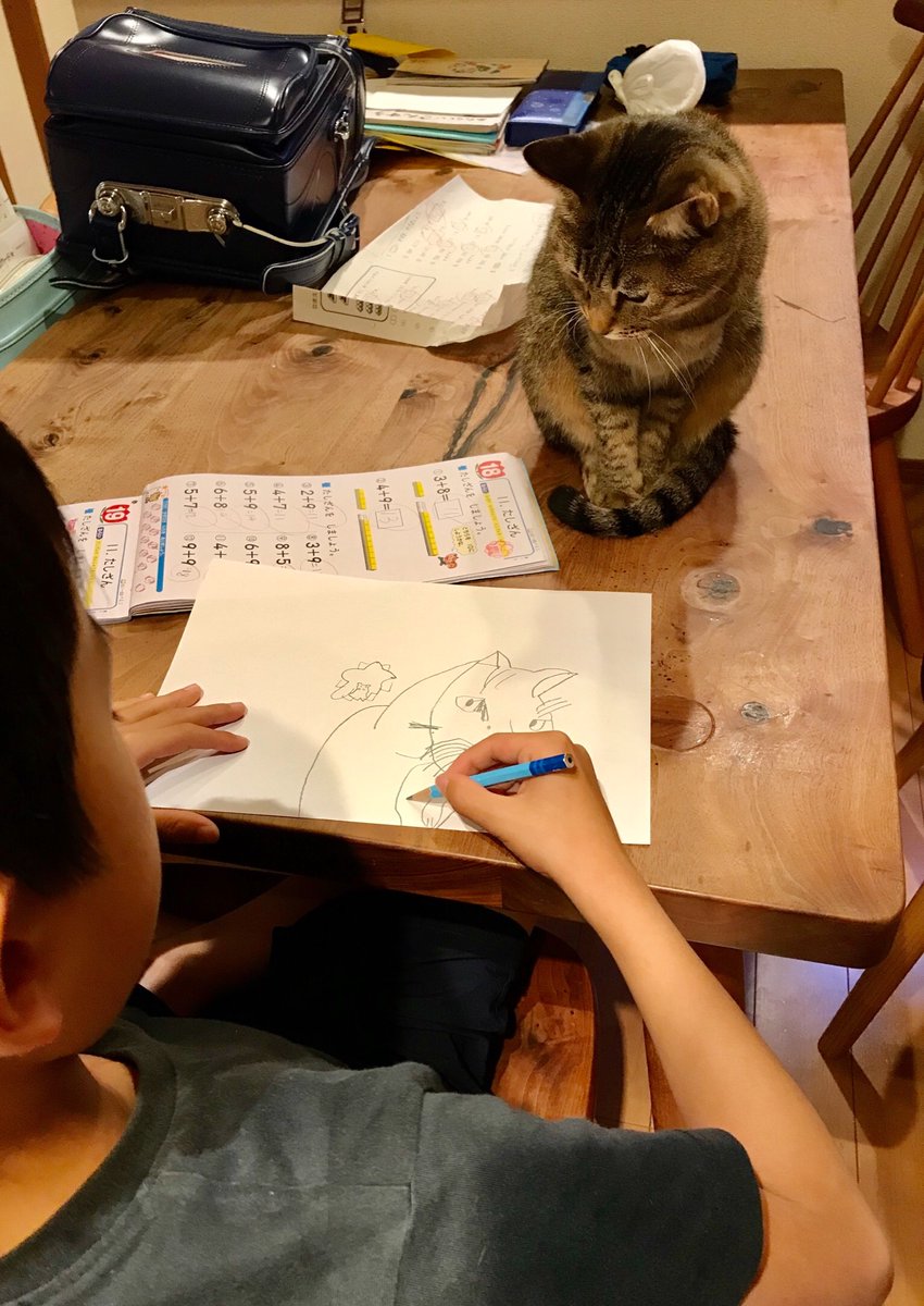 推主的兒子利用做功課的時間畫貓www EmDSpyQUcAIsqSN