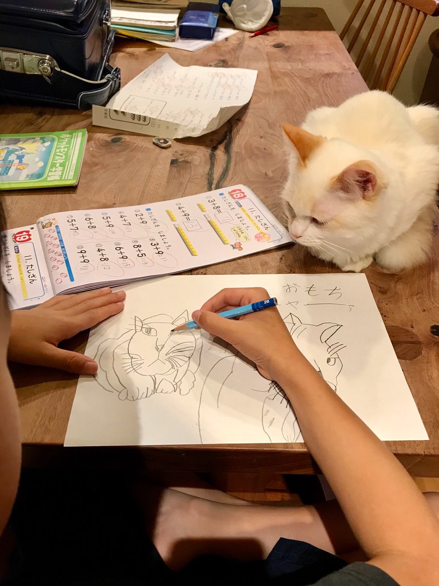 推主的兒子利用做功課的時間畫貓www EmDSs6RVkAAq2xw