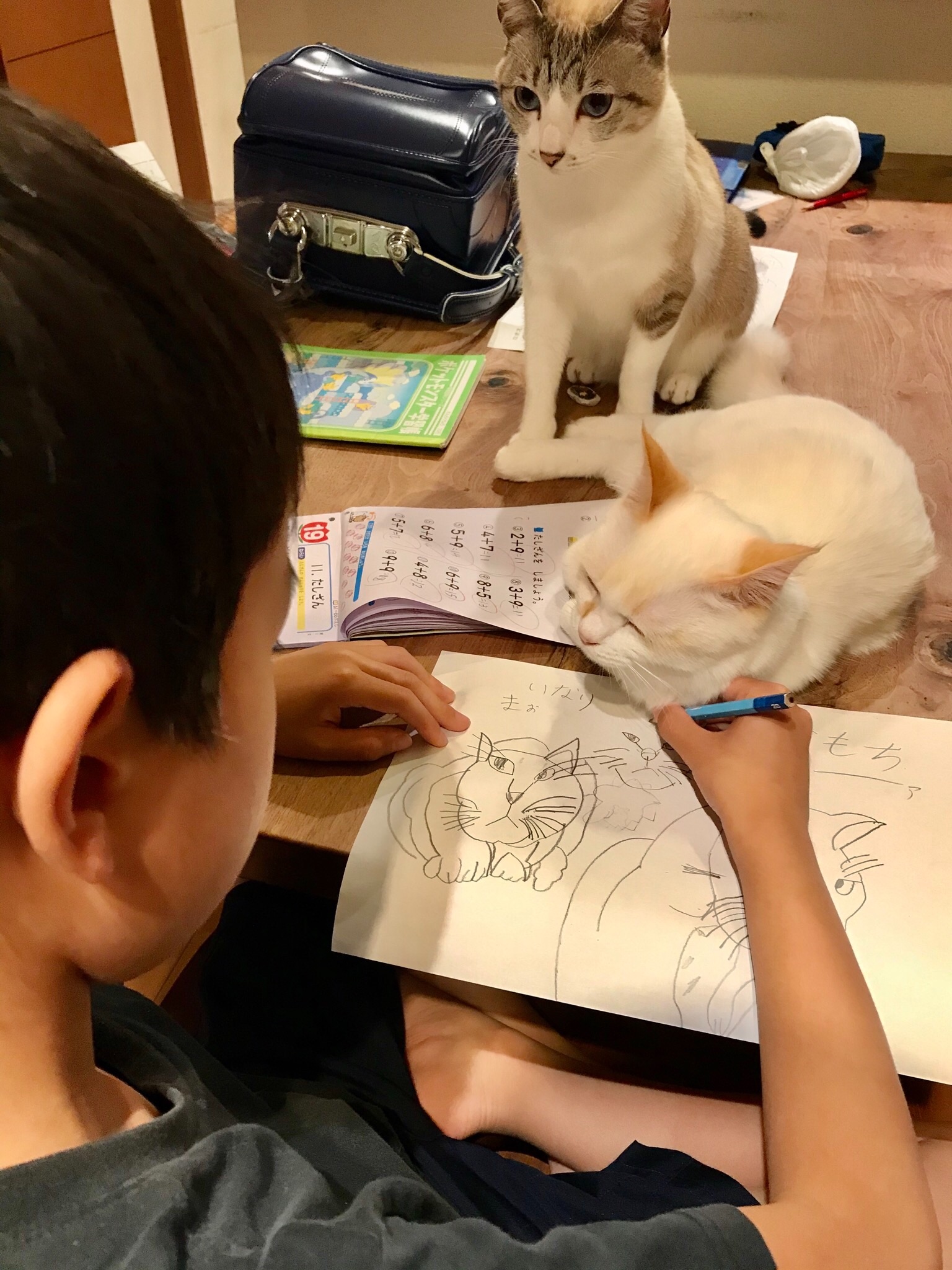 まるで猫の似顔絵屋さん！猫を描く息子さんが素敵のサムネイル画像