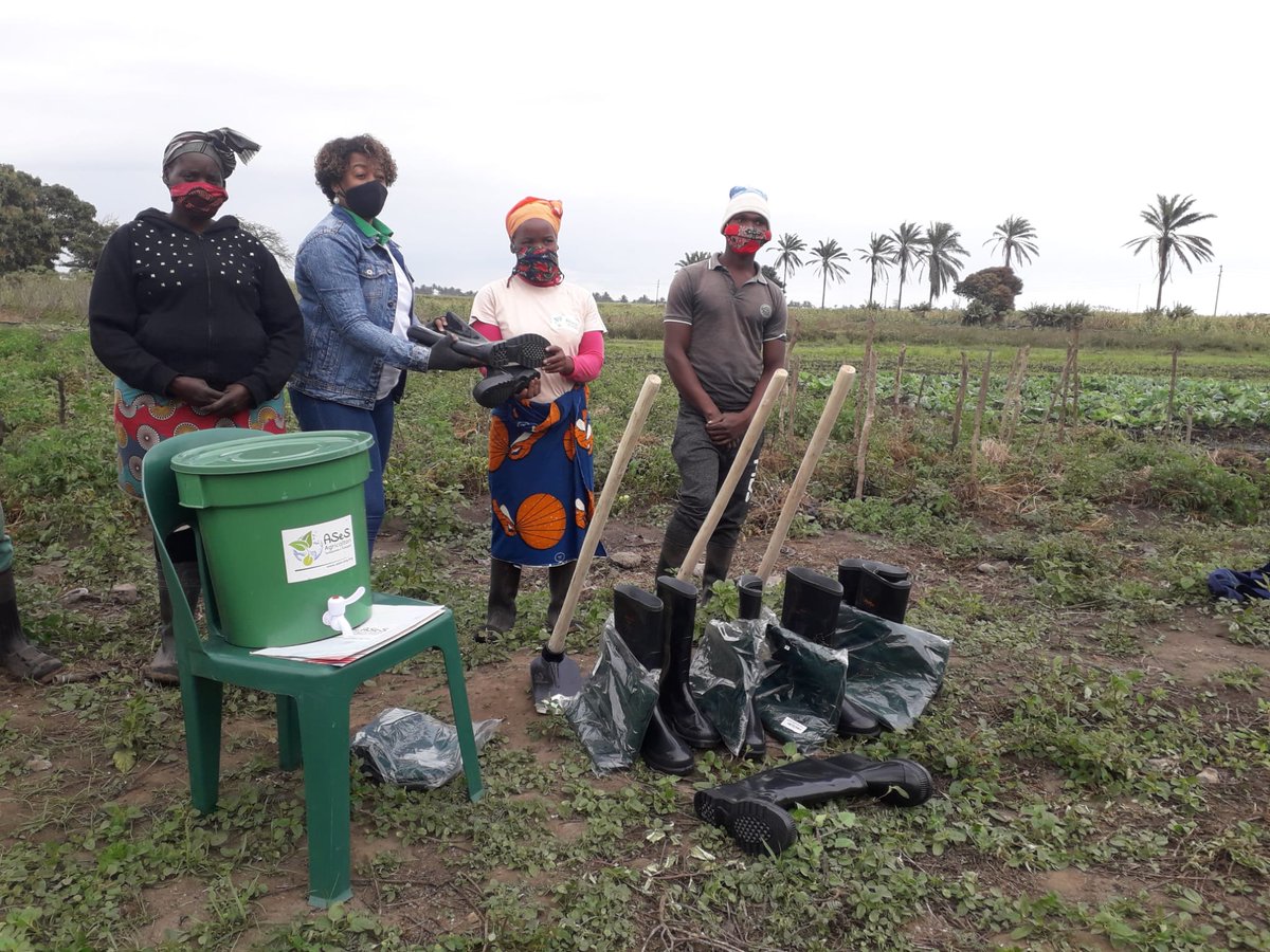 ASeS_Ong's tweet photo. Mozambico: consegnte a 35 beneficiarie i kit contenenti semi di grano, zucca e fagioli, sementi resistenti alle intemperie e ai cambiamenti climatici. Organizzata anche uan giornata di formazione teorica e pratica per le donne beneficiarie. https://t.co/qVktGKGQX0