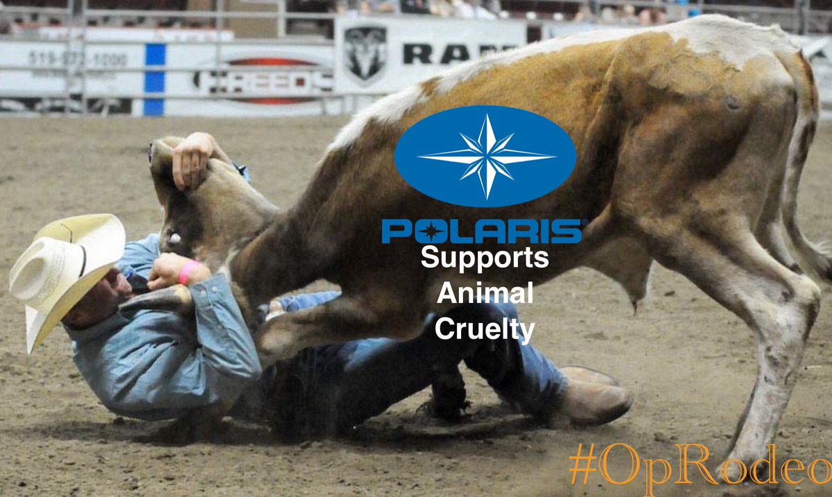 OpRodeo_'s tweet photo. .@PolarisORV supports #AnimalCruelty
#Rodeo legally beating up, injuring, &amp; killing farm animals since 1869!
 Rodeo- for all your #AnimalAbuse needs!

Pull sponsorship #polaris
Wash the barnyard animal blood of your hands!

#BanRodeo
#AnimalLiberation #tuesdaythoughts 
#OpRodeo https://t.co/6dTK3PtH4p