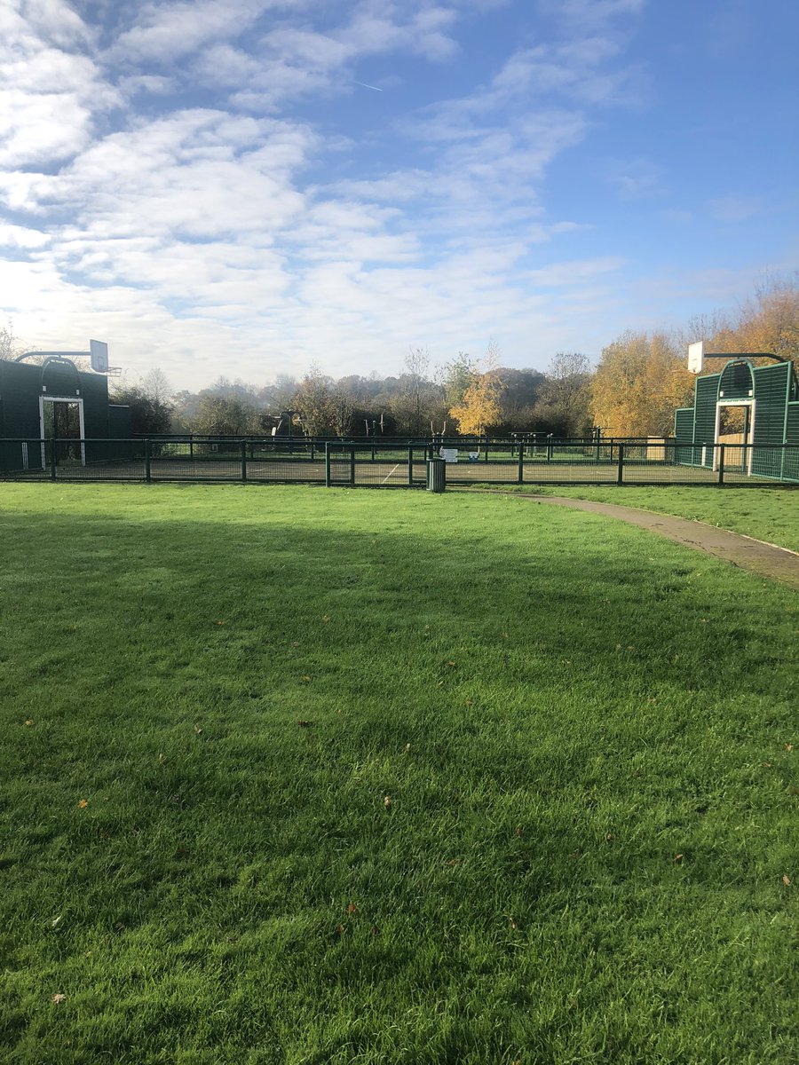 When this becomes your teaching environment for today’s online lesson #physicalliteracy