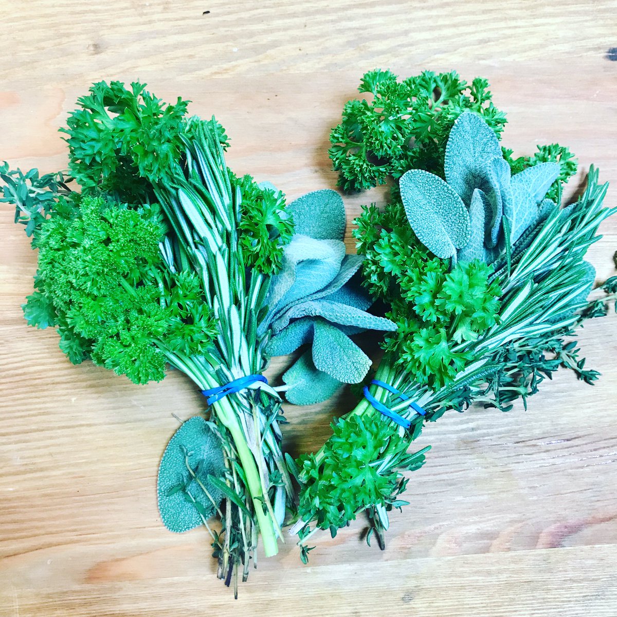 HerbsUnlimited's tweet image. Winter Herb Roasting Packs 50g Available from today, include Sage, Rosemary, Thyme, Curly Parsley. Perfect for delivery boxes, retail and wholesale. All your festive herbs in one pack! 
#herbpacks #deliveryboxes
