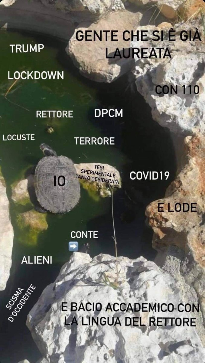 blablavirg's tweet photo. @duepoliopposti Anche la tua situazione è come la mia? https://t.co/F6CLrpIpia