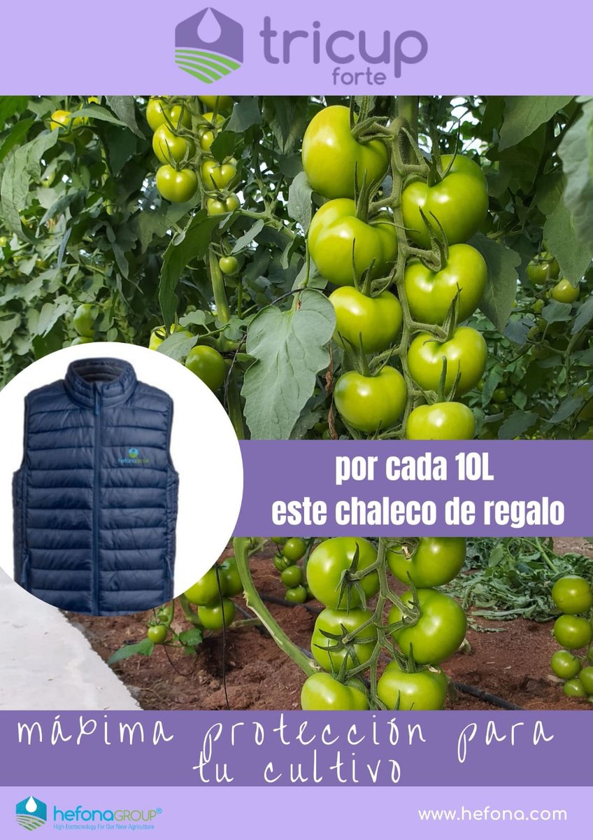 Tricup Forte de <a href="/HEFONAGROUP/">HEFONAGROUP ,S.L</a> protege tu cultivo🌱 frente al ataque de hongos y bacterias y es una de las mejores herramientas para mejorar la #SanidadVegetal
👉¡Hasta final de año consigue por cada 10L de #TricupForte un chaleco de regalo en tu 📍 punto de venta #Campoejido!