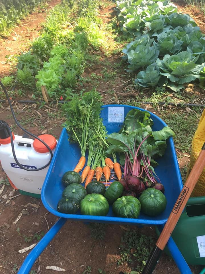 ASeS_Ong's tweet photo. #Paraguay: ufficializzazione del progetto di #Agricolturasociale, iniziato nel mese di luglio. iil progetto, reso possibile grazie al contributo della #ChiesaValdese è al servizio del CENPTRA, il Centro Nazionale di Prevenzione e Cura delle Tossicodipendenze. https://t.co/gkwqQOOHjY