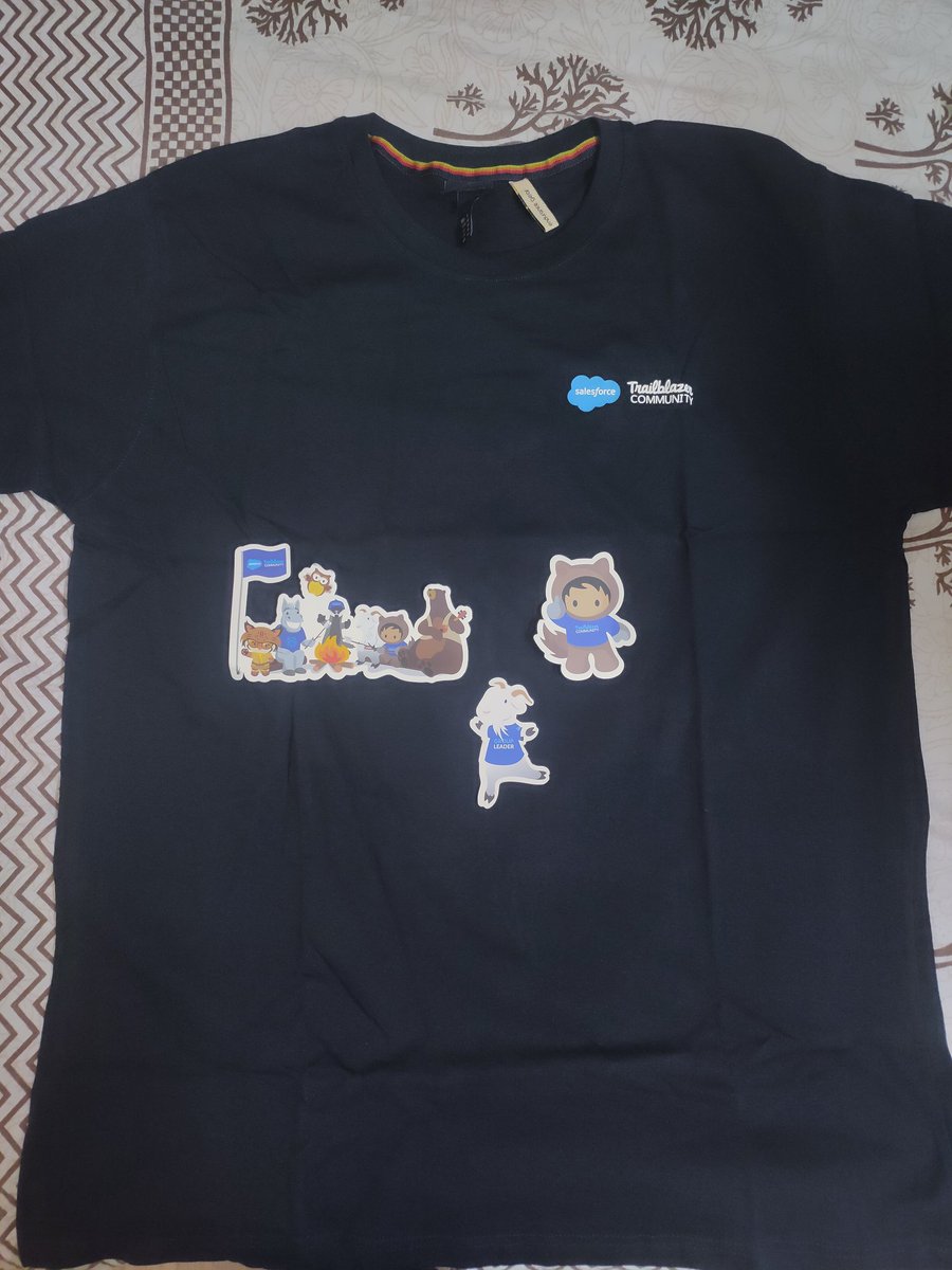 Thank you @LucknowSfGroup @faisalsiddiki21 @vivekgupta_ for this amazing Schwag😎😎🎉🎉 First Schwags are always special #motivated #learningSalesforce #Trailblazerscommunity 🤗😍