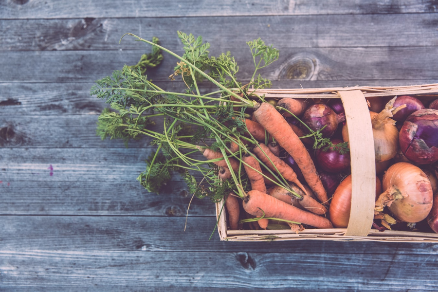 L'important (@limportant_fr) on Twitter photo Bretagne : ces restaurateurs fondent une plateforme «click and collect» de plats bio et locaux limportant.fr/infos-le-choix… <a href="/Caisse_Epargne/">Caisse d'Epargne</a> #partenaire Bretagne : ces restaurateurs fondent une plateforme «click and collect» de plats bio et locaux limportant.fr/infos-le-choix… <a href="/Caisse_Epargne/">Caisse d'Epargne</a> #partenaire