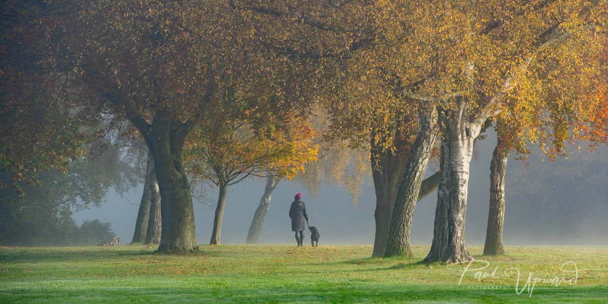 paulupward1's tweet photo. An incredibly stunning morning in #ChalfontStPeter. Making the most of the mist and autumn colours on #GoldHIllCommon.
@BucksCouncil @bbcweather @CSPme @KeepItLocalCSP @CSPParish @csp_church @GoldHillBC @JF_Chalfont @VisitChilterns @BucksLifeMags @buckinghamshire @KDicksonCSP https://t.co/pofWgoNrBz