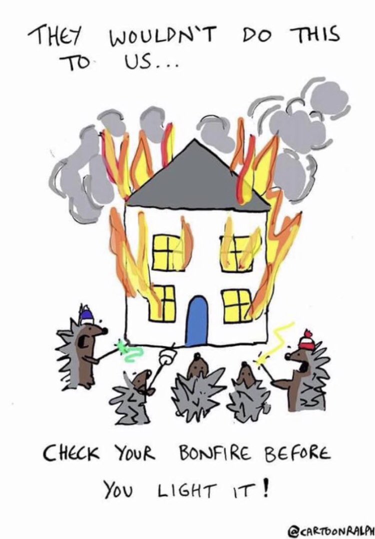 With bonfire night &amp; many people planning fires over the next few days, please help to spread the message to family, friends &amp; others! Also only build a fire the day you plan to light it. RT &amp; share for our 🦔 &amp; wildlife