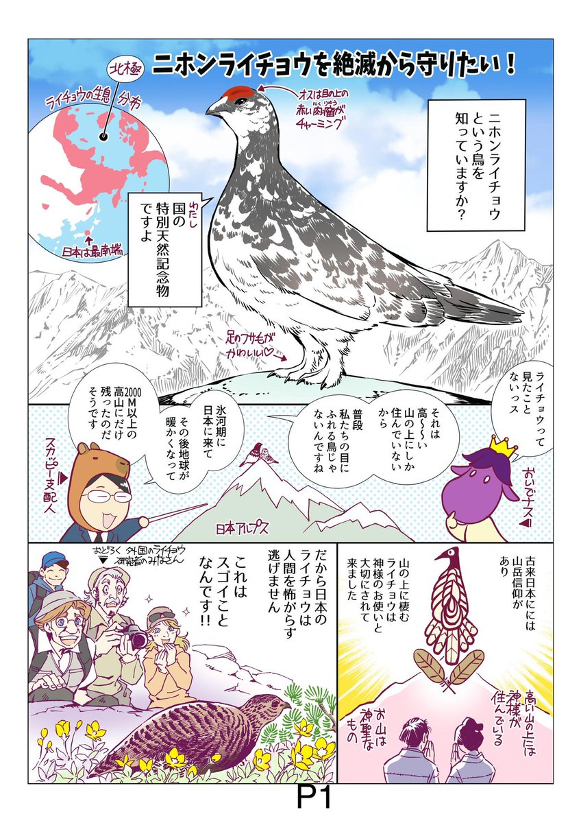 わんこ フルタイムの面接結果待機中 雷鳥さんは確か卵を地上に産むと聞いた事があるのですが それが本当ならより危険