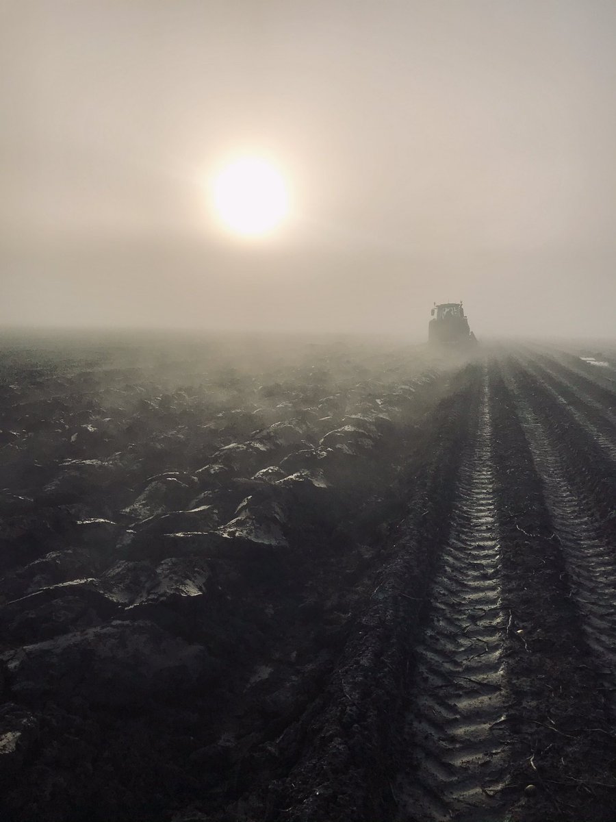 Réveil dans le brouillard ... Les #semis2020 ne sont décidément pas facile 🌾 <a href="/GroupeFDesprez/">Florimond Desprez</a>