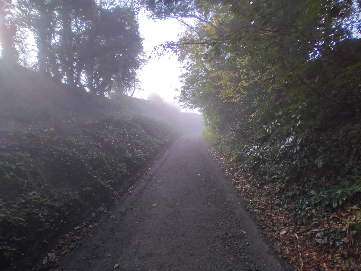 The mist lingers well into the morning on  #LockdownDay2, although it has burned off elsewhere with brilliant but chilly sunshine.  #November  #Devizes  #Wiltshire