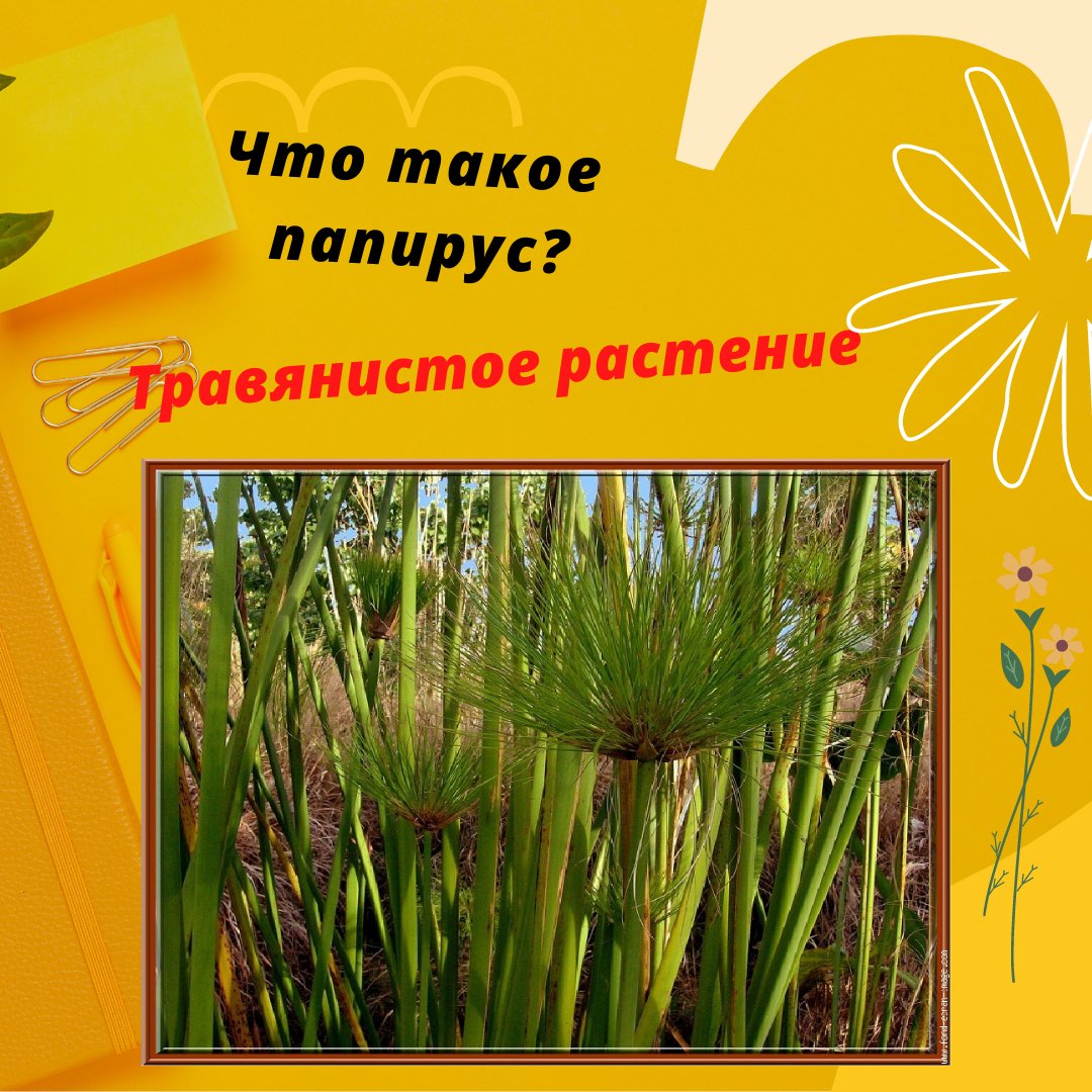 🦉 Ответ на вопрос...