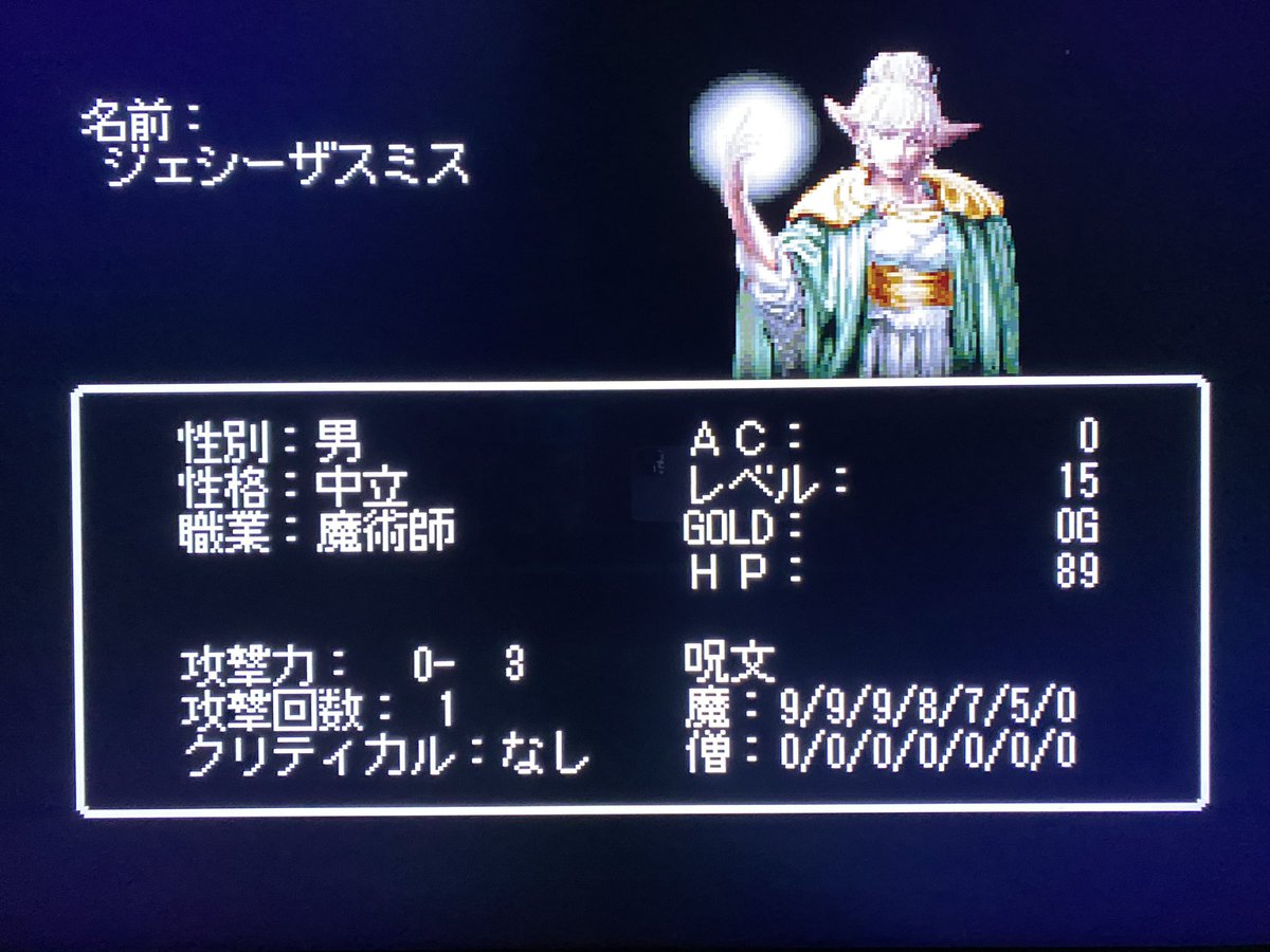 jannie_jp's tweet photo. エネミーファイルより。このグラで男かー。原作は33年前、この移植版は21年前のだけど時代を先取りしてたねえ。 #Wizardry4 #PS https://t.co/IWefxva0cS