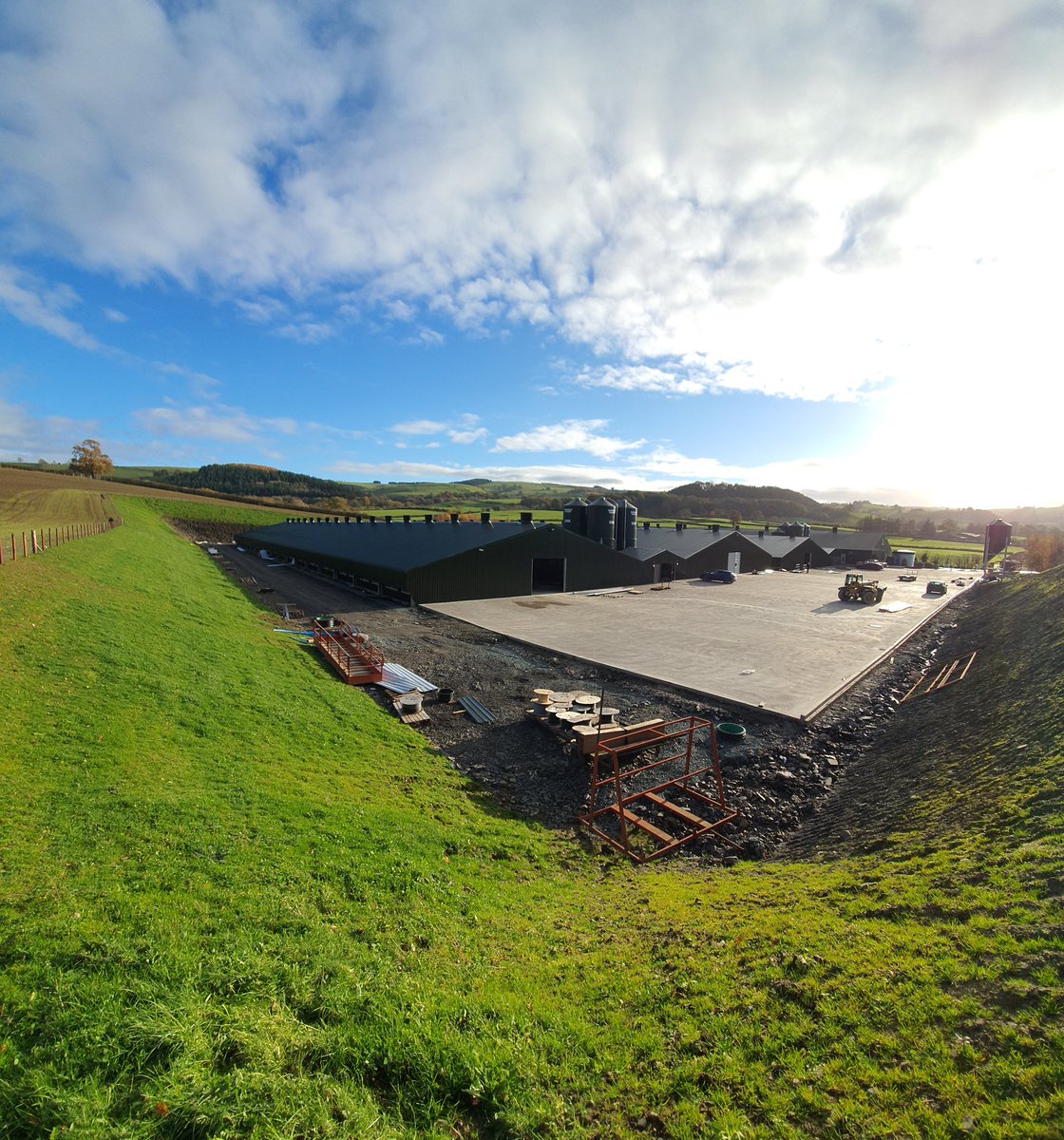 Poultry Care and Support tweet media