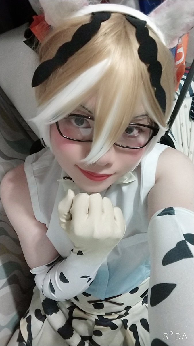 はたむ マーゲイさん 始めました はたむ マーゲイさん 始めました