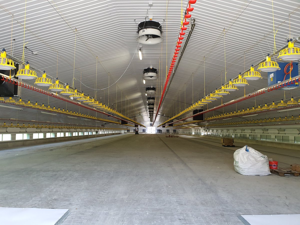 Second commissioning job of the week by @draperCARE. 4 New Houses near Kerry. Beautiful part of the country. Equipment supplied by @draperVENT, <a href="/CollinsonAgri/">Collinson Silos 🇬🇧</a>, <a href="/lubinguk/">Lubing UK & Ireland</a> and Roxell.
If you'd like to know more about what we do at @draperCARE or what we could offer you please PM 🐥