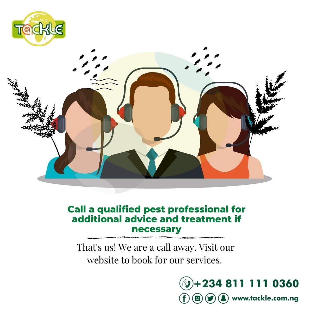 tacklenigeria's tweet photo. That's us! We are a call away. Visit our website to book for our services.
#plantfumigation #CleaningCompanyLagos #FumigationLagos #hustlesquare #ikeja #ikejamua #lekkihomes #BedbugFumigation #tacklenigeria https://t.co/JkmKFtSZYY