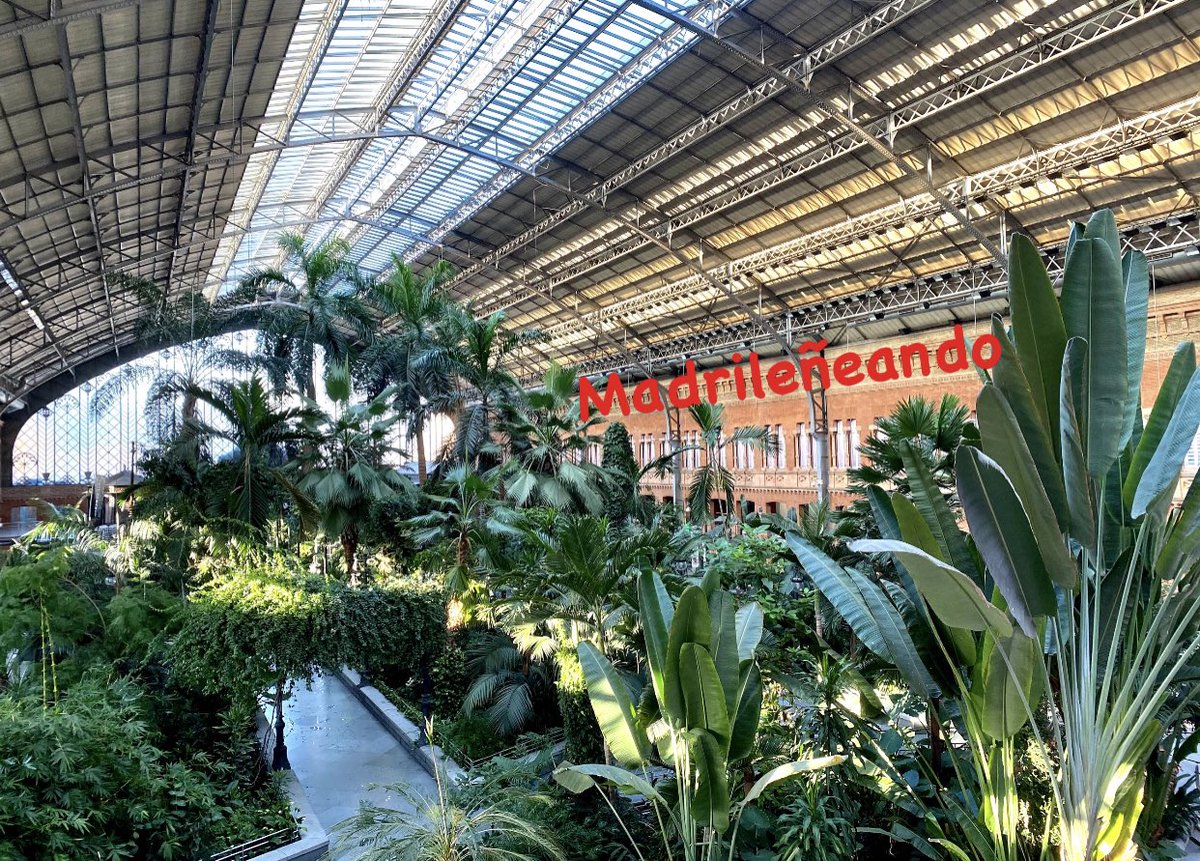 madrileneando's tweet photo. 🇮🇹La giungla di Madrid
🇫🇷La jungle de Madrid 
📎https://t.co/bZsSPLs44c

#ferrovia #treno #natura #Spagna #Espagne #nature #chemindefer #rail #jardinbotanique #giardinobotanico #Covid_19 #viaggiovirtuale #voyagevirtuel https://t.co/35UazwAfIu