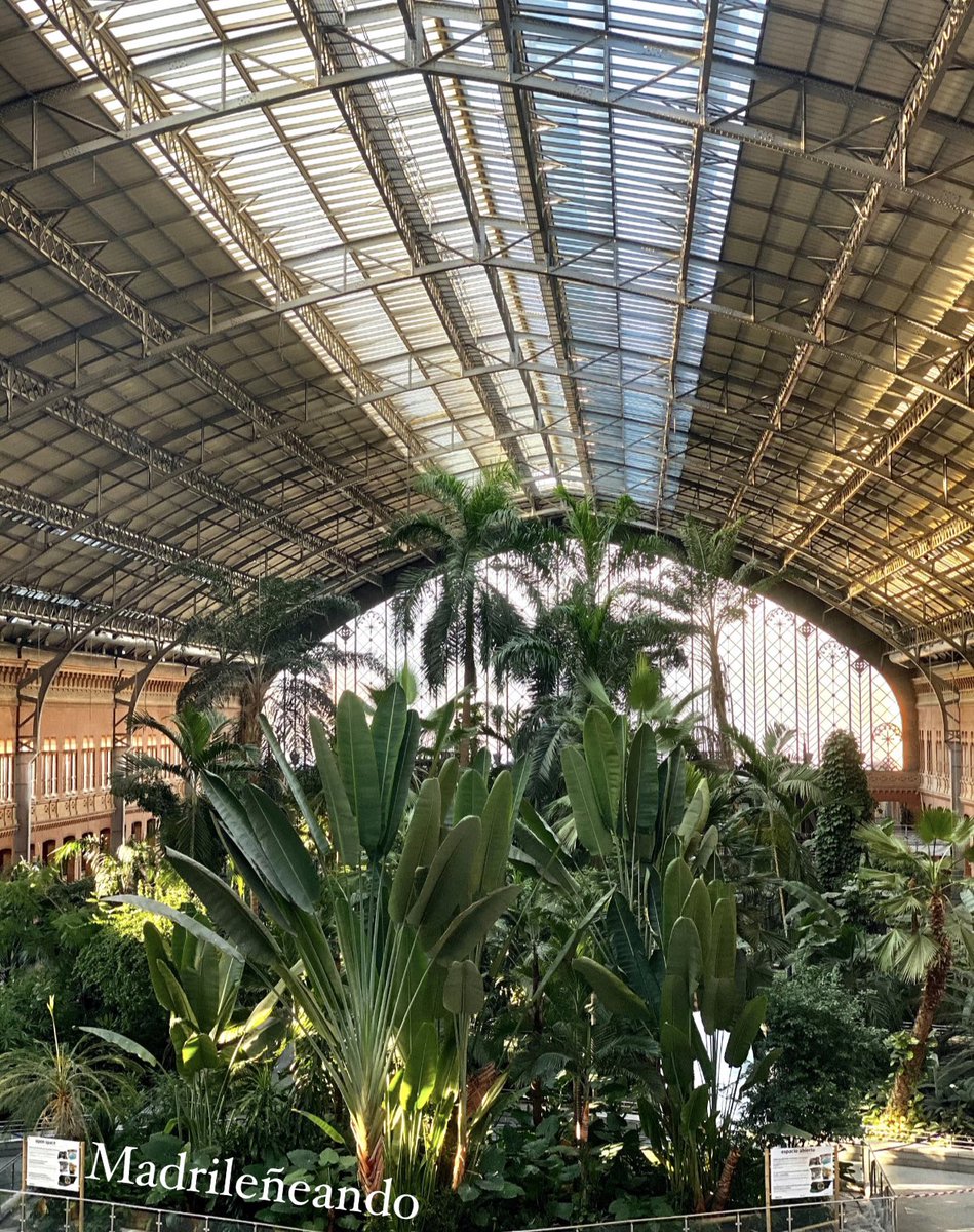 madrileneando's tweet photo. 🇮🇹La giungla di Madrid
🇫🇷La jungle de Madrid 
📎https://t.co/bZsSPLs44c

#ferrovia #treno #natura #Spagna #Espagne #nature #chemindefer #rail #jardinbotanique #giardinobotanico #Covid_19 #viaggiovirtuale #voyagevirtuel https://t.co/35UazwAfIu