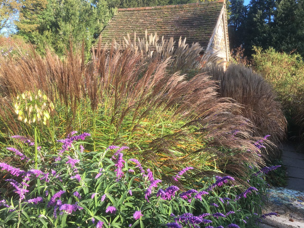 Great Comp Garden tweet media