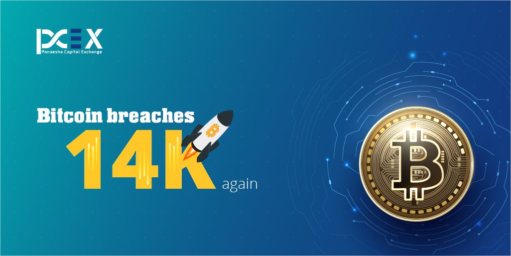 PCEX_IO's tweet photo. Bitcoin breaches the $14,500 mark, highest since January 2018. Follow us for regular updates.
#bitcoin #crypto #cryptomarket #bitcointrading #cryptotrading #pcex https://t.co/RiuUFFGBey