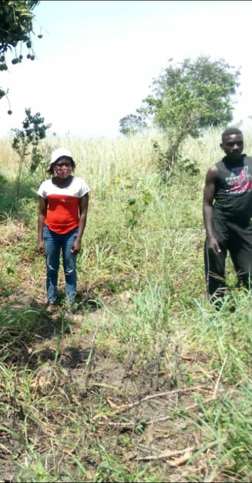 ASeS_Ong's tweet photo. Xinavane, Maputo, Mozambique: visite negli orti per controllare e monitorare le produzioni, divisione del terreno che abbiamo in gestione, in piccoli appezzamenti che sono poi stati donati in usufrutto, alle beneficiarie. Ognuna avrà il compito di seminare e curare le piantine. https://t.co/NqCEPvKyFd