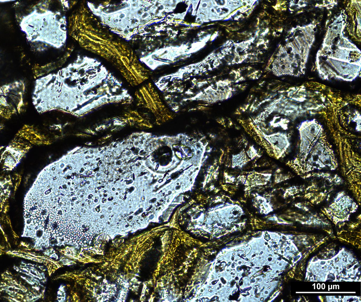 soc_min_pet's tweet photo. #Multiphase fluid inclusions 💧💧💧 trapped in olivine crystals in a metamorphsed harzburgite.

🔬📸 @tia_lafortezza

#ThinSectionThursday #ScienceTwitter #SIMPcomm https://t.co/jY31rPTidq