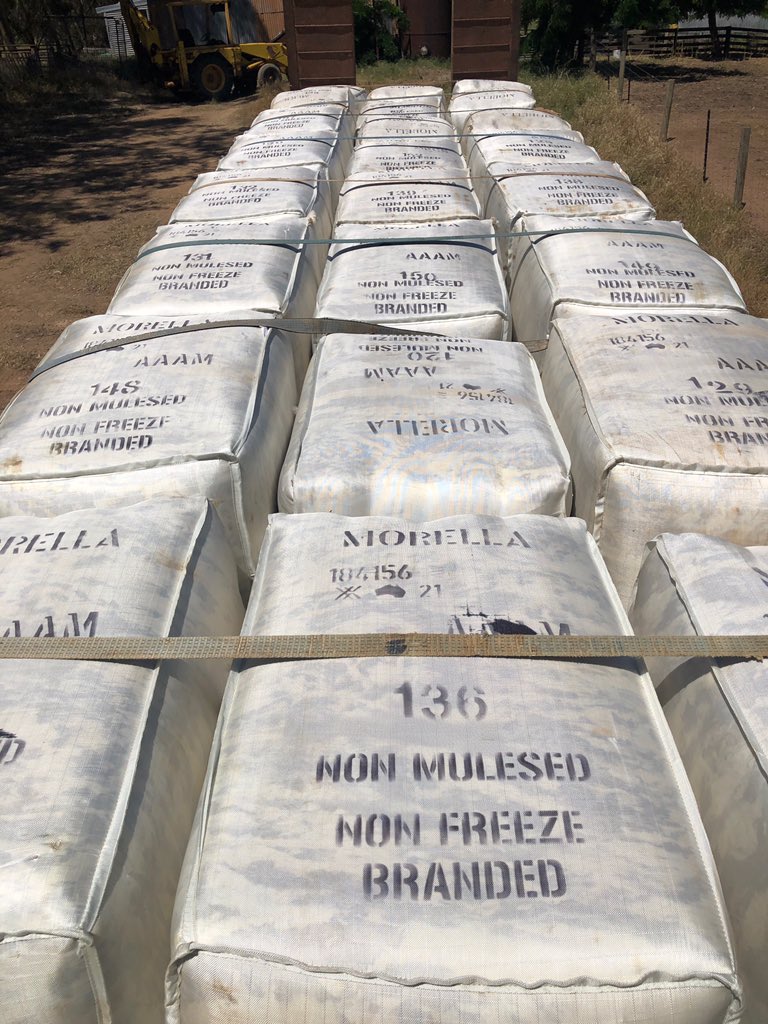 There’s a creeper out there at the minute with the possibilities of the Steining/Freeze Branding technique for the removal of excessive skin from lambs being categorised as unmulesed!! My client’s response - yours?!!