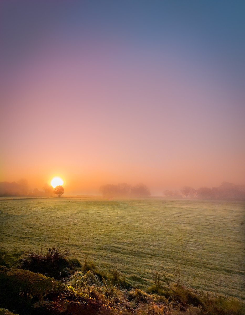 FullerSearch's tweet photo. A misty and frosty Cotswold sunrise this morning :)

#thecotswolds #sunrises #mistymornings #frostysunrise #gloriousbritain #countrymorning #cotswoldbuyingagent #backgarden #homefinder #countrylife #englishcountryside https://t.co/LcSGfiH0Ry