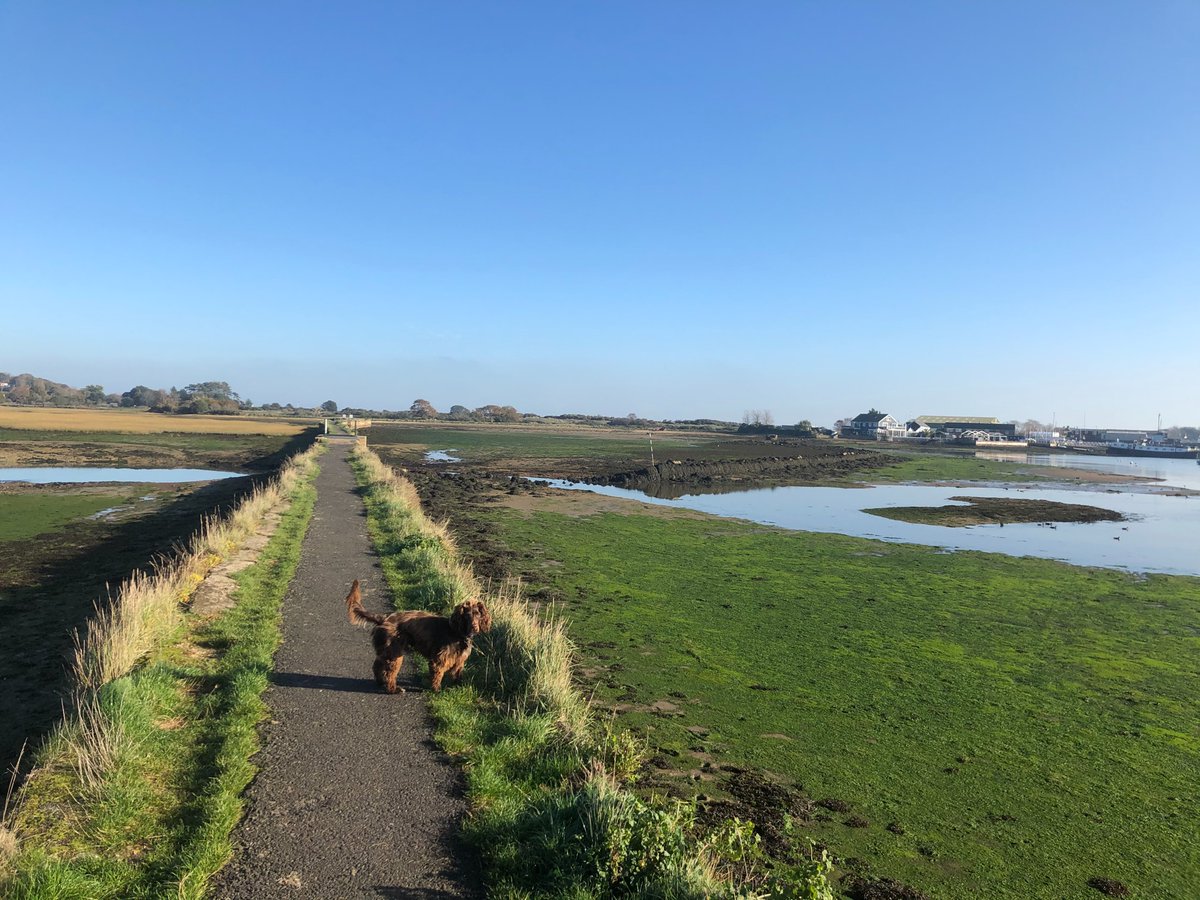 BembridgeFish's tweet image. Something to be said for this lockdown malarkey.