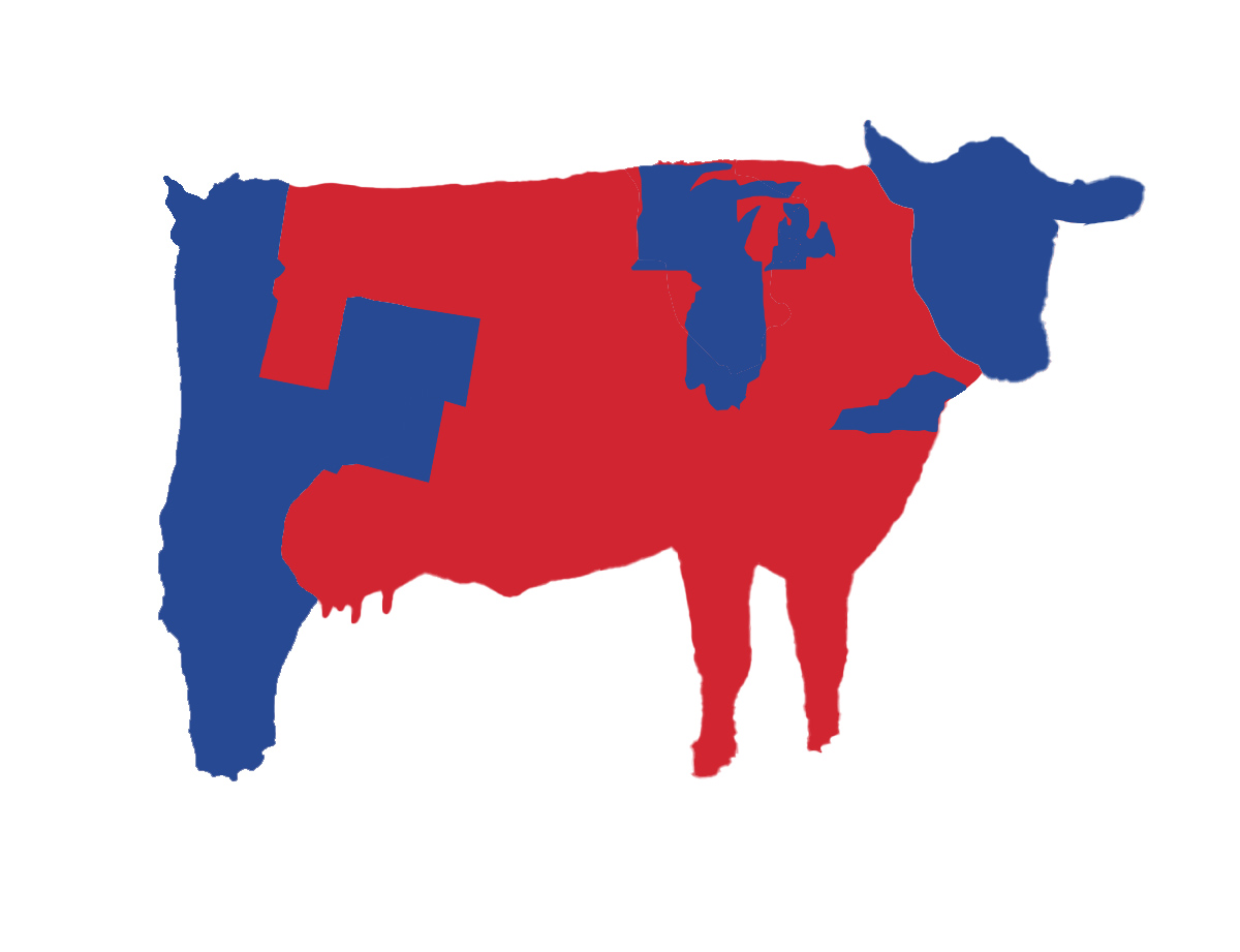 Electoral map if the US was a cow