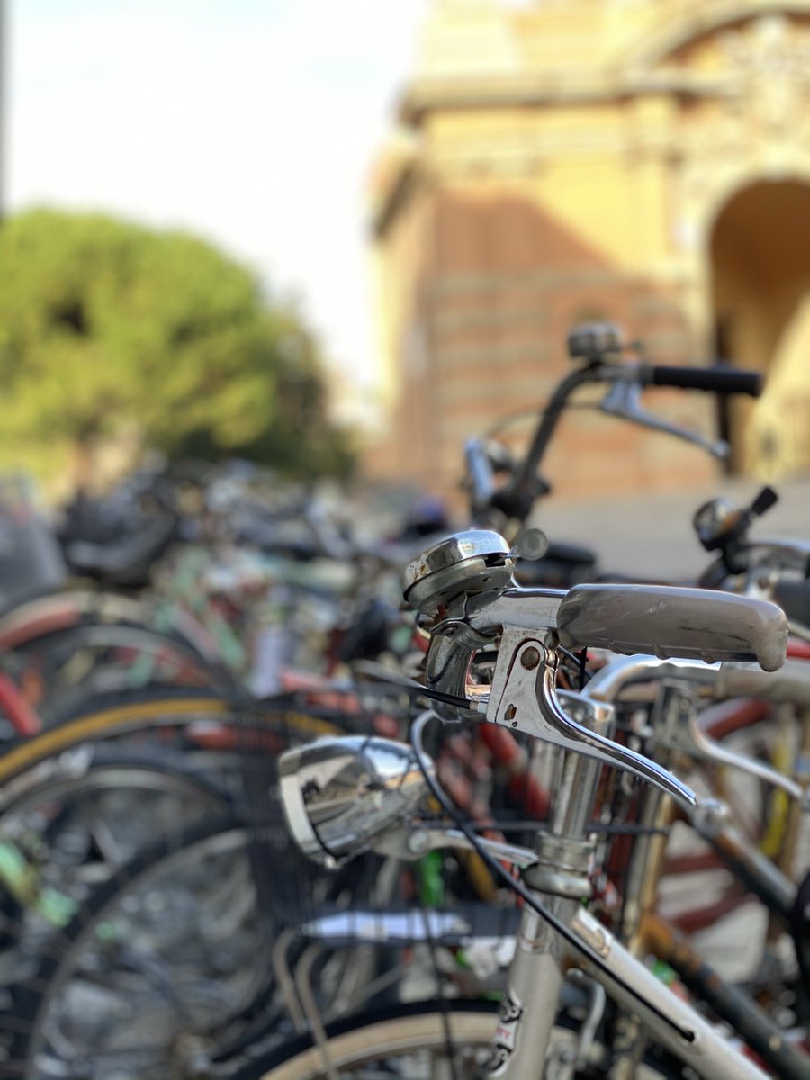 I went to Bologna a couple of weeks ago & visited the many bicycles and ate tortellini in an old school dining room staffed by men in white coats.