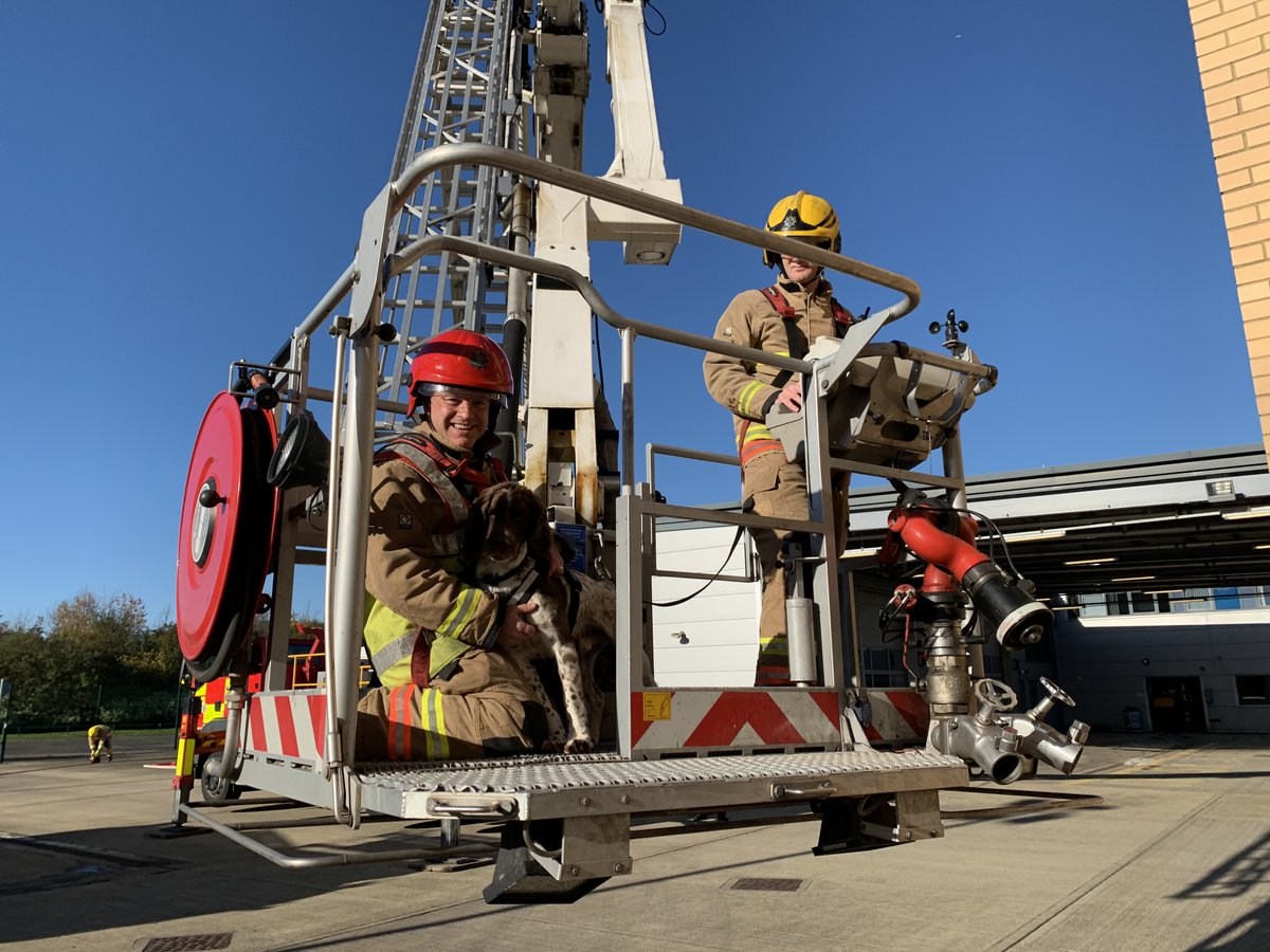 CddfrsR's tweet photo. Woodie the Fire Dog and the Arson Reduction Team have been busy filming this week for our new education package, Safer Futures On-Line, he was fantastic! Well done Woodie. @CDDFRS #woodiethefilmstar https://t.co/hEdtp33hua