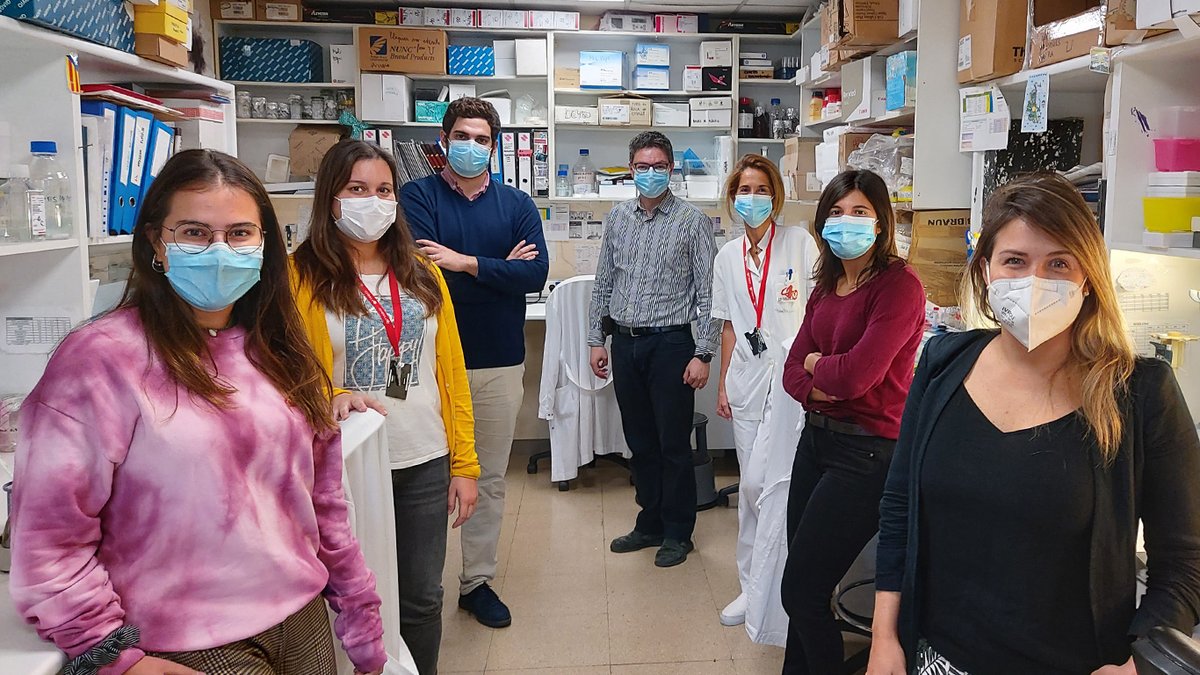 idibell_cat's tweet photo. 🔊L'equip d'Oriol Casanovas de l'@idibell_cat i @ICOnoticies ha identificat un #biomarcador que preveu l’increment de malignitat que pot causar la teràpia antiangiogenica en els càncer renals

👉https://t.co/ftnTW4ncNC https://t.co/rB38Y6E9pk