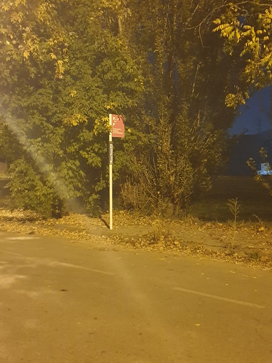 AngieBG2408's tweet photo. ¿Para quién es accesible esta parada de bus por la Roca Village? Para gente con movilidad reducida seguro que no.
 #diversitatFPT #sharediversitas https://t.co/TGU1FGiNZv