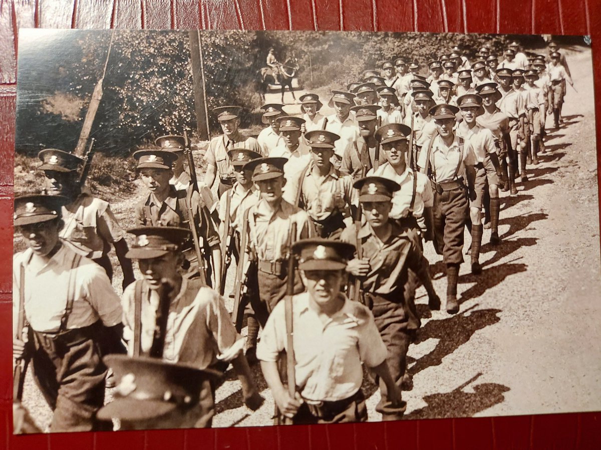 Oronzo Cilli - Tolkieniano Collection tweet media