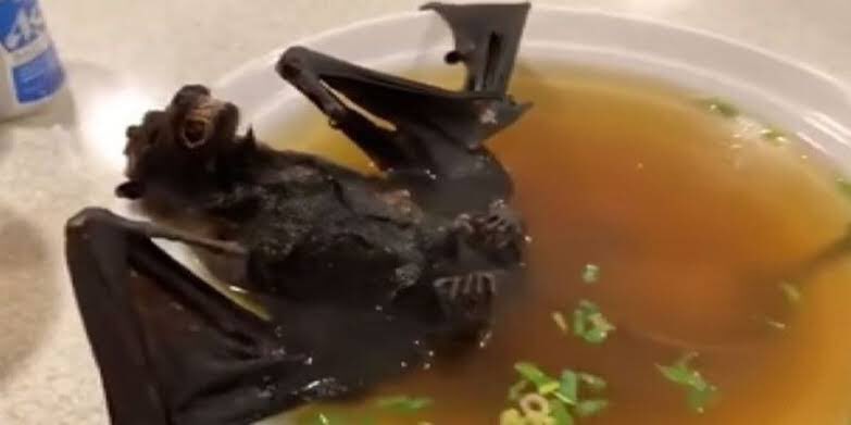 orang hitam makan coklat tweet media