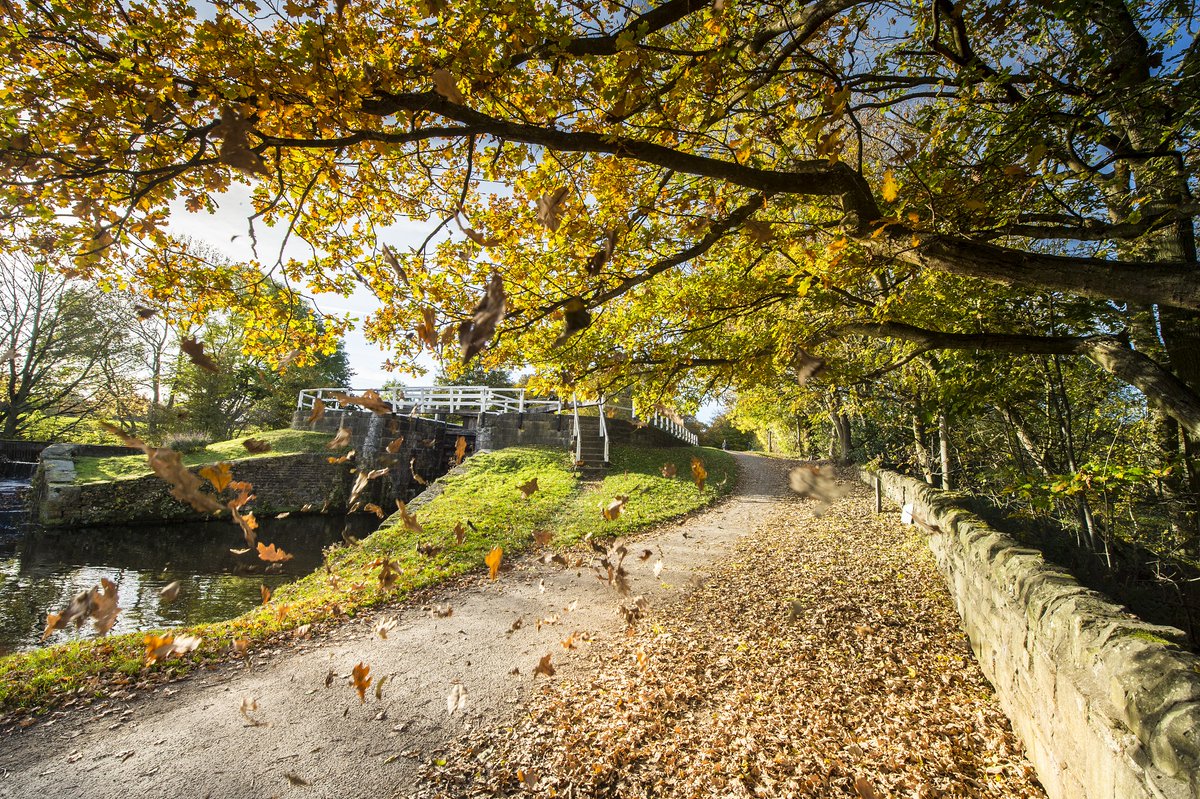 We've updated our #virtual content hub, so you can enjoy the benefits of being by water from the comfort of your home. From puzzles and quizzes to stories and inspiring photos, we hope this helps you feel connected to our canals over the coming weeks 👉  
canalrivertrust.org.uk/news-and-views…